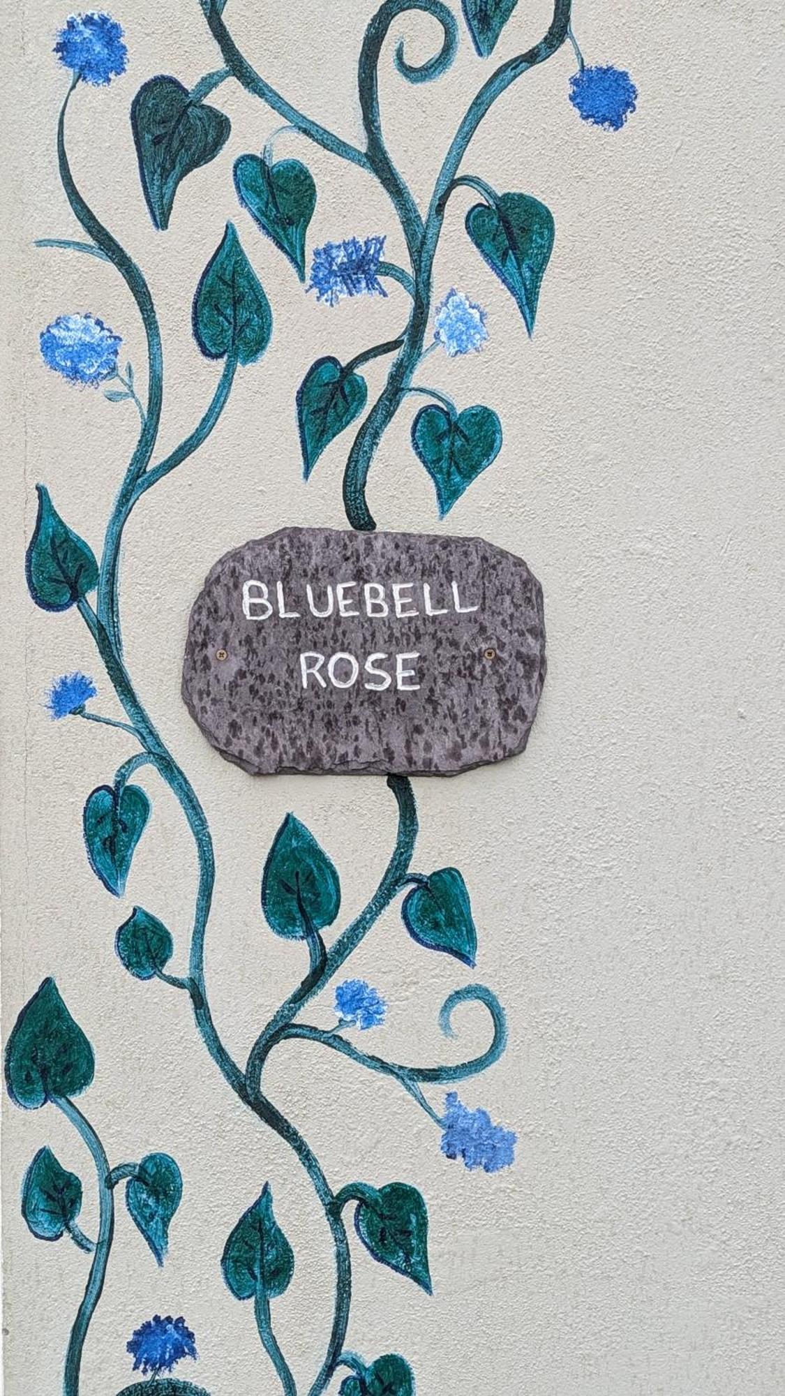 Skellig View Bluebell Rose & The Kerry Cliffs Lejlighed Portmagee Eksteriør billede
